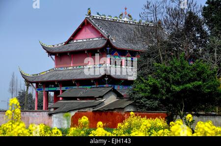 Pengzhou, China: View across a field of yellow Rapeseed flowers to the countryside Dong Yuan Si Buddhist Temple