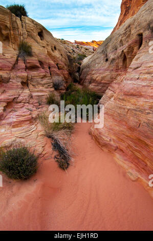 Colorful Sandstone Wash - Valley Of Fire - Nevada Stock Photo