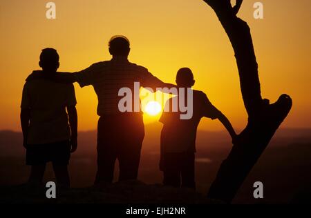 Italy, Sicily, Ravanusa, great father watching sunset near olive tree with his two grandsons Stock Photo