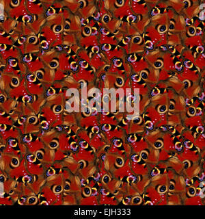 Peacock butterfly seamless pattern Stock Photo