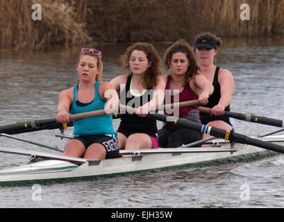 A coxless four rowing team from Exeter University in training on the Exeter canal on a cold spring day, Devon, UK Stock Photo