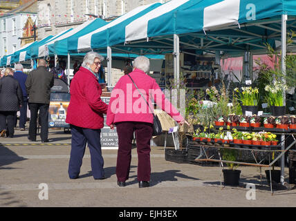 Two senior ladies shopping for plants at a farmers market in  Truro, Cornwall, UK Stock Photo