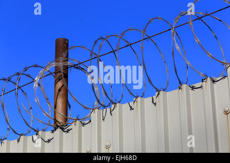 barbed razor wire on top of a metal fence Stock Photo