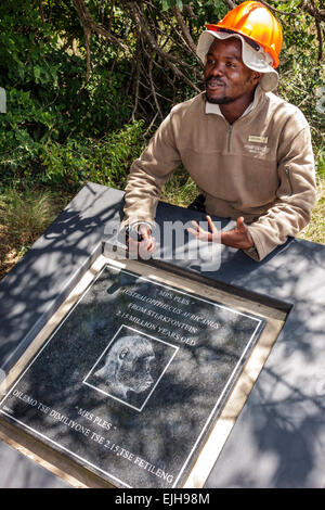 Johannesburg South Africa,Muldersdrift,Sterkfontein Caves,hominin,hominid site,human ancestor,Cradle of Humankind,Mrs. Ples,Australopithecus africanus Stock Photo