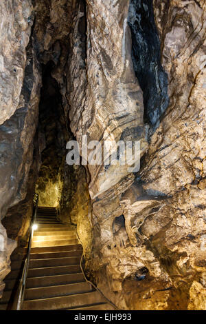 Johannesburg South Africa,Muldersdrift,Sterkfontein Caves,hominin,hominid site,human ancestor,Cradle of Humankind,cave,interior inside,steps stairs st Stock Photo