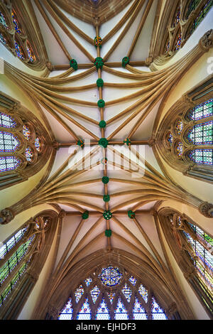 Vaulted ceiling of the chapel of the Bishops Palace of the the medieval Wells Cathedral built in the Early English Gothic style Stock Photo