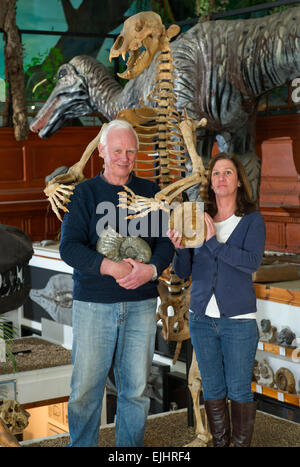 Dinosaurland Fossil Museum in Lyme Regis,Dorset,UK with owners Steve & Jenny Davies with a fossilised cave bear, mamouth tusks and ammonites. Stock Photo