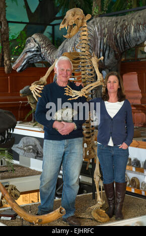 Dinosaurland Fossil Museum in Lyme Regis,Dorset,UK with owners Steve & Jenny Davies with a fossilised cave bear, mamouth tusks and ammonites. Stock Photo