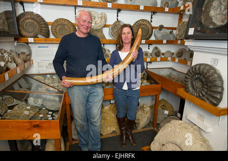 Dinosaurland Fossil Museum in Lyme Regis,Dorset,UK with owners Steve & Jenny Davies with a fossilised cave bear, mamouth tusks and ammonites. Stock Photo