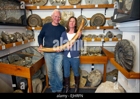 Dinosaurland Fossil Museum in Lyme Regis,Dorset,UK with owners Steve & Jenny Davies with a fossilised cave bear, mamouth tusks and ammonites. Stock Photo