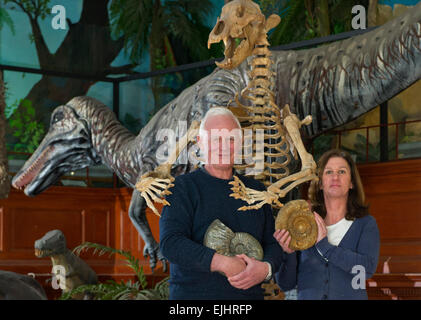 Dinosaurland Fossil Museum in Lyme Regis,Dorset,UK with owners Steve & Jenny Davies with a fossilised cave bear, mamouth tusks and ammonites. Stock Photo