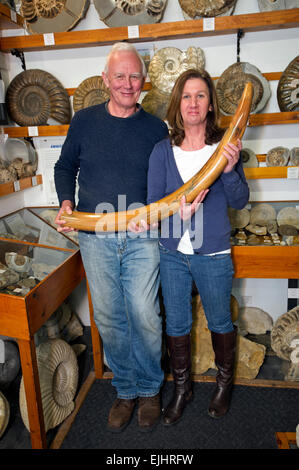 Dinosaurland Fossil Museum in Lyme Regis,Dorset,UK with owners Steve & Jenny Davies with a fossilised cave bear, mamouth tusks and ammonites. Stock Photo