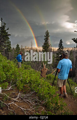 OR01787-00...OREGON - Photographers on the Canyon Creek Trail near Jack Lake in the Deschutes National Forest. Stock Photo