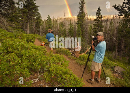 OR01788-00...OREGON - Photographers on the Canyon Creek Trail near Jack Lake in the Deschutes National Forest. Stock Photo