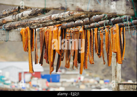 NIAQORNAT, QUAASUITSUP / GREENLAND - JUNE 15: fish drying on racks in the open air, in the remote village of Niaqornat, Greenlan Stock Photo