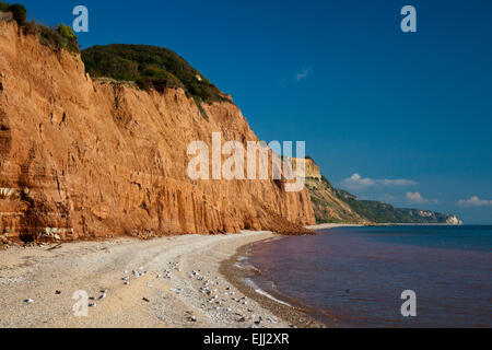 Red sandstone cliffs of the Jurassic Coast at Sidmouth, Devon, England, UK Stock Photo
