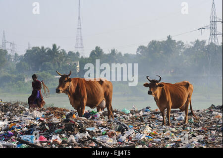 Pondicherry garbage dump, Tamil nadu, India. Stock Photo