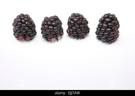 Fresh ripe blackberries in line. Isolated over on white background Stock Photo