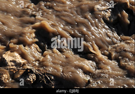 Stormy spring stream sparkles in the sun Stock Photo - Alamy