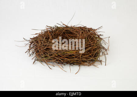 Empty bird nest made of pine tree needles. Isolated over white background Stock Photo