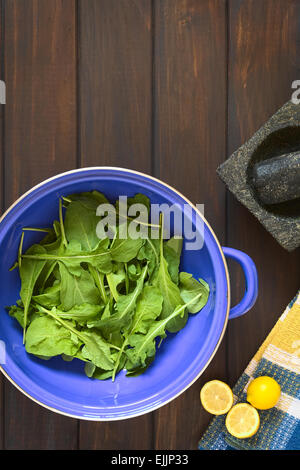 Overhead shot of rucola (lat. Eruca sativa) leaves in blue metal strainer with lemon, mortar and pestle Stock Photo