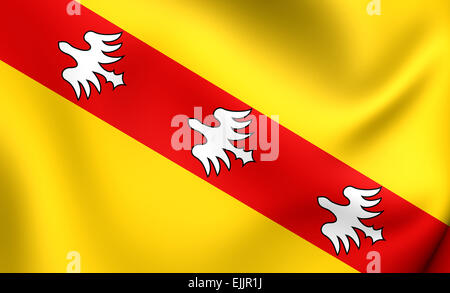 Flag of Lorraine, France. Close Up. Stock Photo