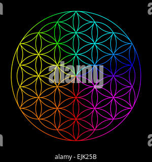 Rainbow flower of life - symbol of sacred geometry Stock Photo