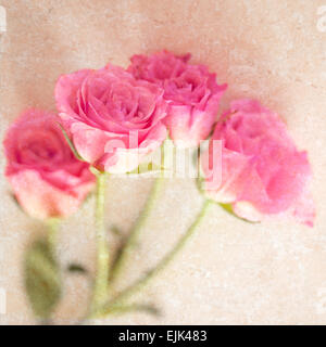 Pink Rose Marble Stone Natural Background Collage Stock Photo