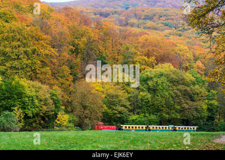 Colorful autumn forest in Hungary Stock Photo