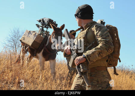 A #USArmy Green Beret, assigned to 3rd Special Forces Group Airborne, provides security for a mule carrying the Mk 47 grenade launcher during MULE Packing Training on Fort Bragg, N.C., Jan. 27, 2015.  Sgt Edward F French IV Stock Photo