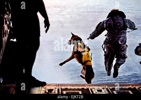 A U.S. Soldier with the 10th Special Forces Group and his military working dog jump off the ramp of a CH-47 Chinook helicopter from the 160th Special Operations Aviation Regiment during water training over the Gulf of Mexico March 1, 2011, as part of exercise Emerald Warrior 2011. Emerald Warrior is an annual two-week joint/combined tactical exercise sponsored by U.S. Special Operations Command designed to leverage lessons learned from operations Iraqi and Enduring Freedom to provide trained and ready forces to combatant commanders.  Tech. Sgt. Manuel J. Martinez, Stock Photo