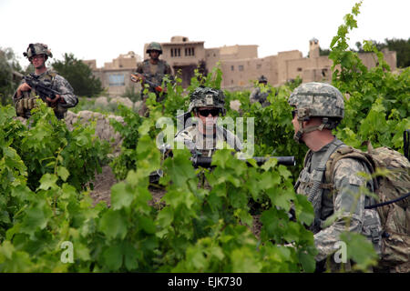 U.S. Army paratroopers from 1st Platoon, Bulldog Troop, 1st Squadron, 91st Cavalry Regiment and an Afghan National Army soldier travel the fields of Charkh Valley, Logar province, Afghanistan, June 12, 2010. The purpose of this mission is to help provide security for a coalition vehicle convoy that is driving through a nearby area. Stock Photo