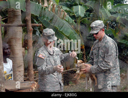 U.S. Army Capt. Brian Smith, left, and Spc. Steven Mraz, both from the 64th Medical Detachment, inoculate baby goats as a Ghanaian man observes during Africa Partnership Station APS in Accra, Ghana, March 12, 2008. The APS initiative is scheduled to support more than 20 humanitarian assistance projects in addition to hosting information exchanges and training with partner nations during its seven-month deployment.  Mass Communication Specialist 2nd Class Michael Campbell, U.S. Navy. Released Stock Photo