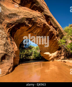 Coyote Natural Bridge - Coyote Gulch Stock Photo