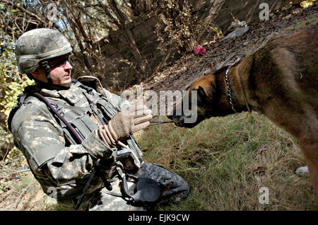 BAGHDAD - Malbern, Ark., native and Air Force Staff Sgt. Jacob Holm, a military working-dog handler attached to 2nd Platoon, Company C, 1st Battalion, 64th Armor Regiment, 2nd Brigade Combat Team, 3rd Infantry Division, plays tug of war with Zasko, after his canine companion identified homemade-explosive materials hidden outside an abandoned building during a patrol of Western Baghdad Aug 2. Zasko treats the searches as a means of gaining the affection Holm’s and time with his Kong, a typical pet toy.  Spc. L.B. Edgar, 7th Mobile Public Affairs Detachment Stock Photo