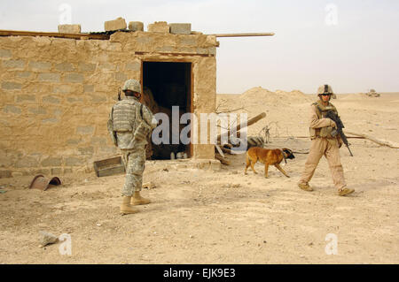 U.S. Army Soldiers and U.S. Marines attached to 3-1-1 Military Transition Team, 3rd Infantry Division, II Marine Expeditionary Force search a house while on a dismounted foot patrol during an operation in Tharthar, Iraq, Oct. 7, 2007.  Spc. Kieran Cuddihy Released Stock Photo
