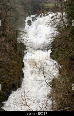 Betws-y-Coed, Conwy, North Wales, UK. 28th Mar, 2015. Swallow Falls in full spate with fast flowing water on Afon Llugwy river following heavy rain in Snowdonia National Park. Credit:  Realimage/Alamy Live News Stock Photo