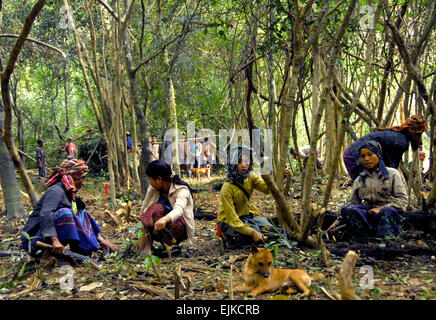 Village workers help members of the Joint POW/MIA Accounting Command clear trees and brush from a crash site in the Boualapha province of Laos Oct. 22, 2007. A 10-member JPAC team deployed out of Hickam Air Force Base, Hawaii for 30 days attempting to recover the remains of U.S. service members lost during the Vietnam War.  Staff Sgt. Bradley C. Church Stock Photo