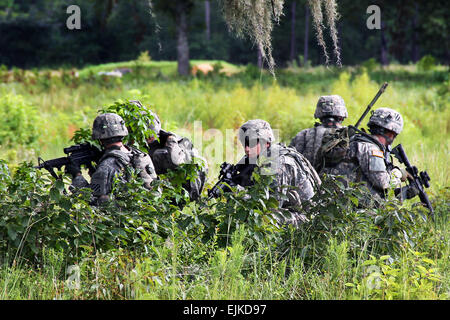 Soldiers from Headquarters and Headquarters Troop, 6th Squadron, 8th Cavalry Regiment, 4th Infantry Brigade Combat Team, 3rd Infantry Division, maintain security during dismounted section live fire training, Aug. 21 on Fort Stewart, Ga.  Ensign Lauren Karlewicz, 6th Squadron, 8th Cavalry Regiment, 4th IBCT, 3rd Inf. Div. Stock Photo