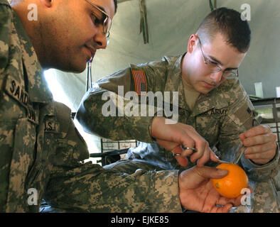 U.S. Army 1st Lt. Alex Sanderson, right, grades Spc. Jerimiah Bigham as he practices administering sutures to an orange during annual training at Camp Shelby, Miss., April 19, 2007. The Soldiers are from the 30th Brigade Combat Team, North Carolina Army National Guard.  Tech. Sgt. Brian E. Christiansen Stock Photo
