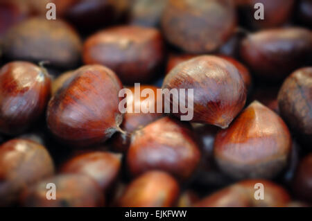 Raw chestnuts background close up macro Stock Photo