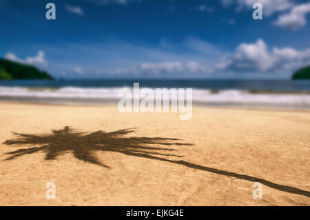 Maracas bay Trinidad and Tobago beach palm tree shadow Caribbean blurry background Stock Photo