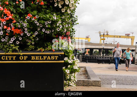 'City of Belfast' on a flowerpot, with the famous yellow cranes in the background Stock Photo