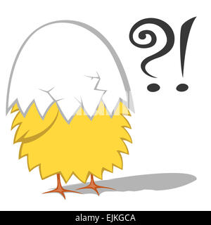 Funny chickens - Cute yellow chicken (chickling) is wondering with an eggshell on head Stock Photo