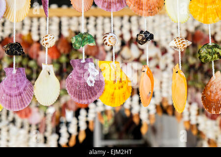 Seashell mobile Stock Photo