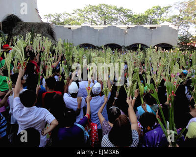 Paranaque City, Philippines. 29th Mar, 2015. Filipino devotees wave palm fronds during mass on Palm Sunday at the Baclaran Church. Palm Sunday marks the triumphant entry of Jesus Christ into Jerusalem, kicking off the Holy Week for Catholics worldwide. © Richard James Mendoza/Pacific Press/Alamy Live News Stock Photo