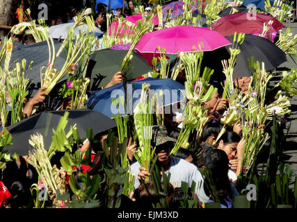 Paranaque City, Philippines. 29th Mar, 2015. Filipino devotees wave palm fronds under their umbrellas during mass on Palm Sunday at the Baclaran Church. Palm Sunday marks the triumphant entry of Jesus Christ into Jerusalem, kicking off the Holy Week for Catholics worldwide. © Richard James Mendoza/Pacific Press/Alamy Live News Stock Photo