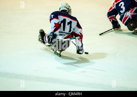 ORENBURG, ORENBURG region, RUSSIA - 7 February 2015: Public performance Orenburg ice sledge hockey club 'Hawks' within the framework of the all-Russian day of winter sports, dedicated to the anniversary of the XXII Olympic Winter Games and XI Paralympic Winter Games of 2014 in Sochi Stock Photo
