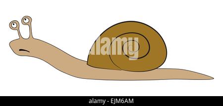 Vector illustration of the snail - slowly animal Stock Vector