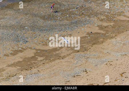 View from above on a seagull flying over single person walking on West Beach in Criccieth, North Wales. Stock Photo
